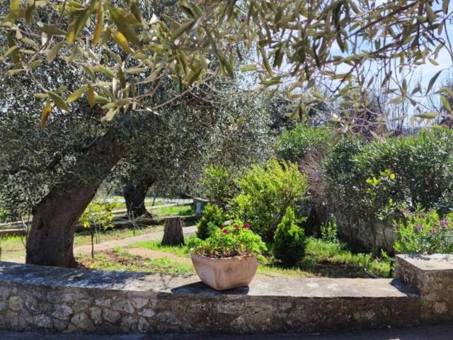 Villa in vendita a Ostuni BR