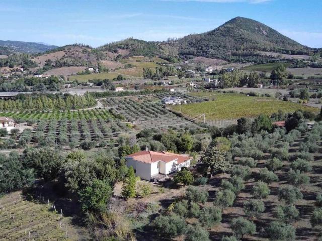Villa in vendita a Osini OG
