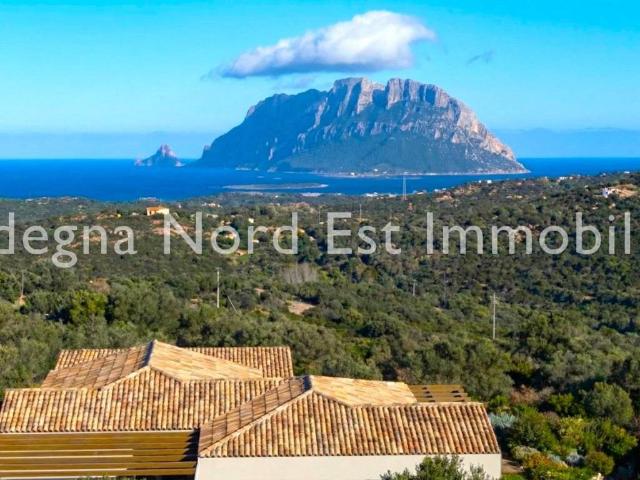 Villa in vendita a Loiri Porto San Paolo OT