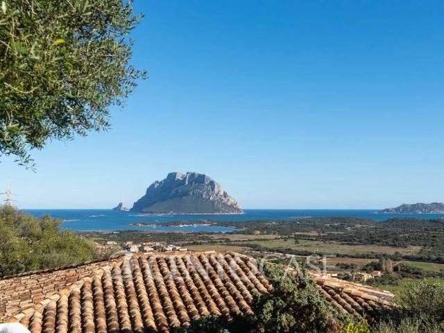 Villa in vendita a Loiri Porto San Paolo OT