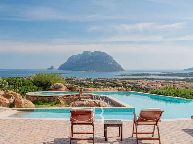 Villa in vendita a Loiri Porto San Paolo OT