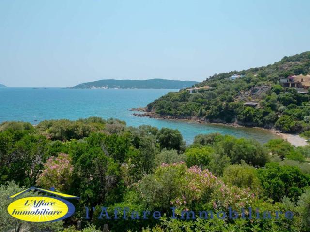 Villa in vendita a Loiri Porto San Paolo OT
