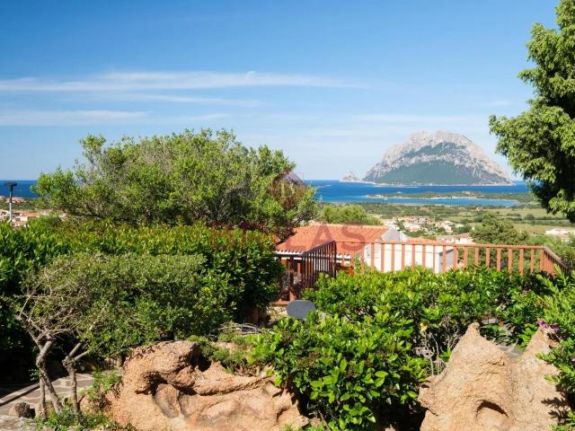 Villa in vendita a Loiri Porto San Paolo