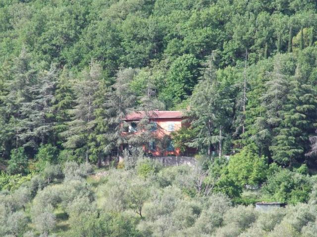 Villa in vendita a Londa FI