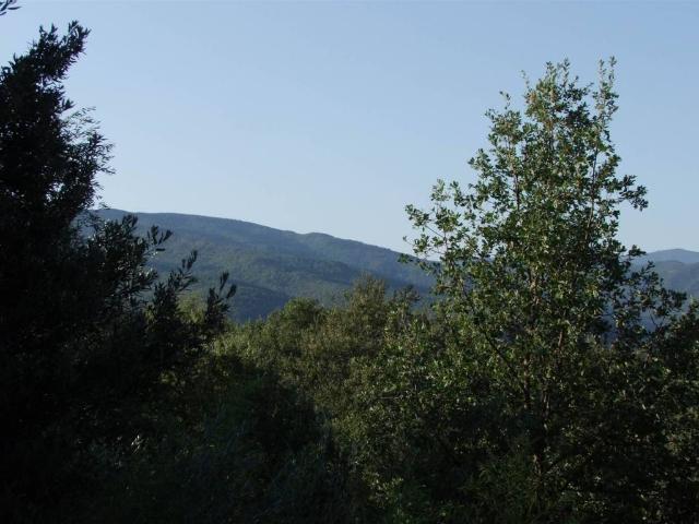 Villa in vendita a Londa FI