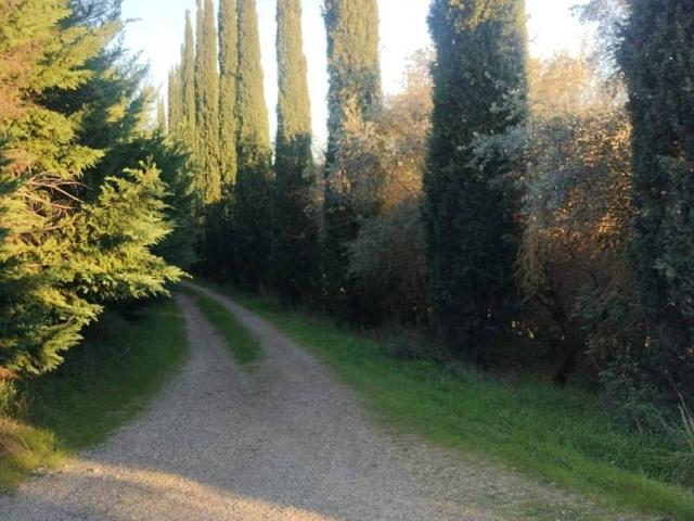Villa in vendita a Lastra a Signa FI