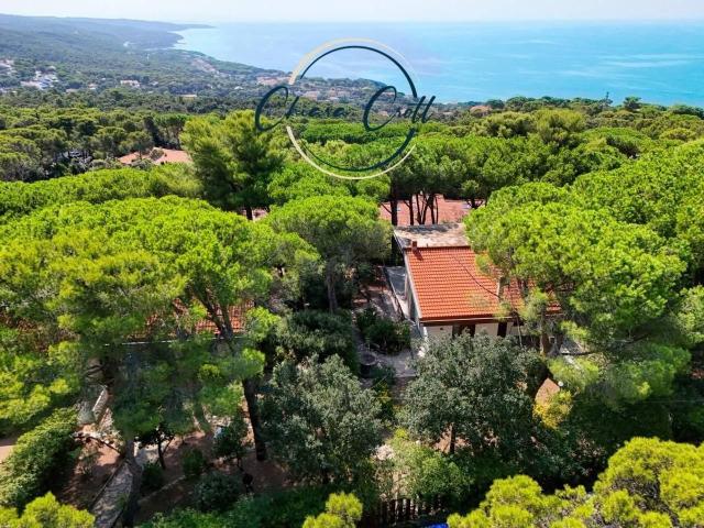 Villa in vendita a Livorno
