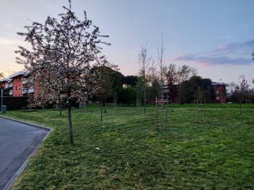 Piazzale Giuseppe Verdi, Lucca, Lucca Toscana, Toscana