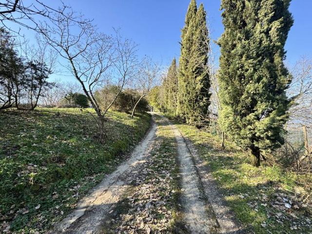 Villa in vendita a Lucca LU