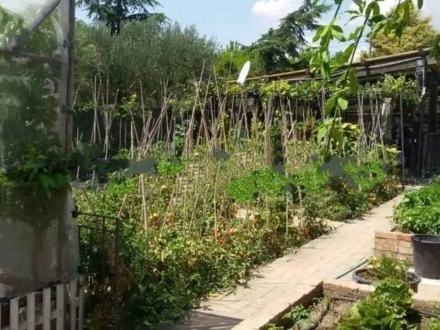 Villa in vendita a Lucera FG