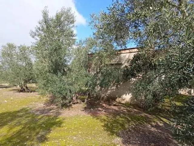 Villa in vendita a Molfetta BA