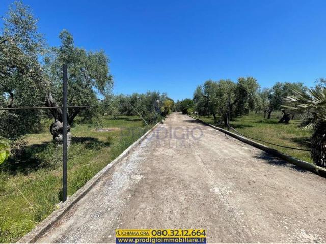 Villa in vendita a Molfetta BA
