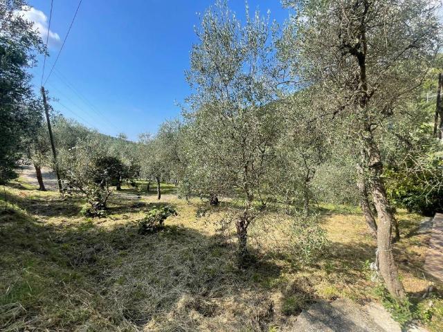 Villa in vendita a Moneglia GE