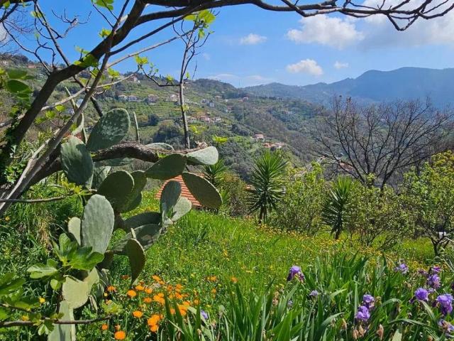 Villa in vendita a Moneglia GE