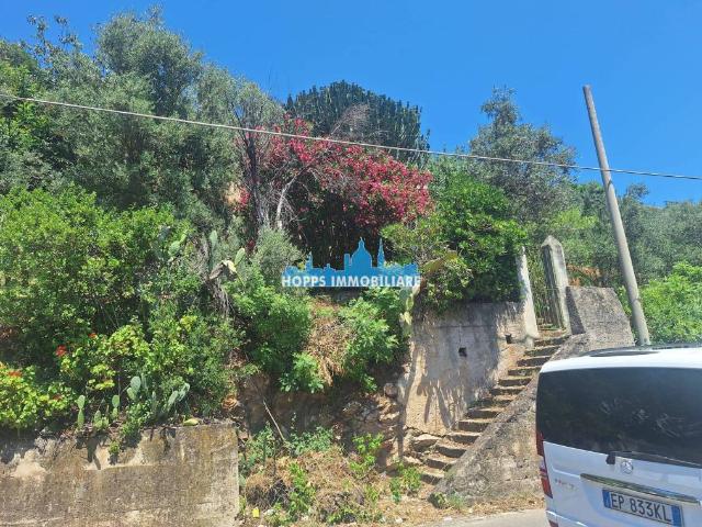 Villa in vendita a Monreale PA