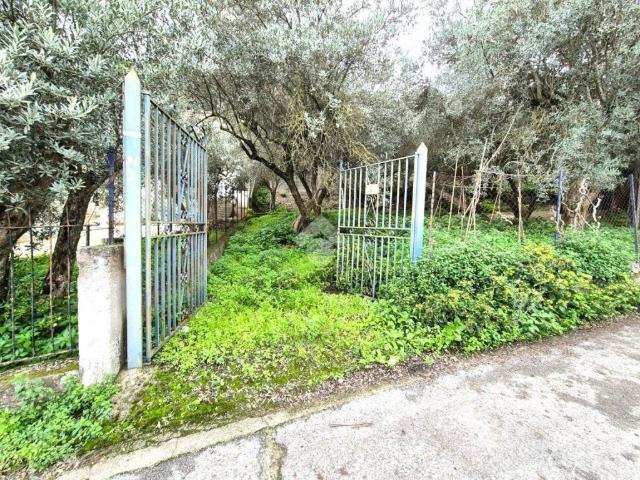 Villa in vendita a Monreale PA