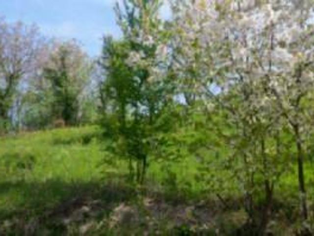 Villa in vendita a Montaldo Torinese TO