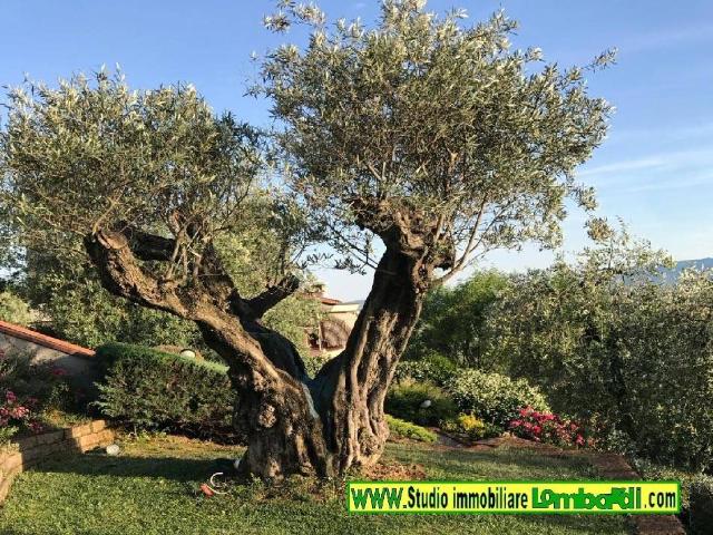 Villa in vendita a Montale PT