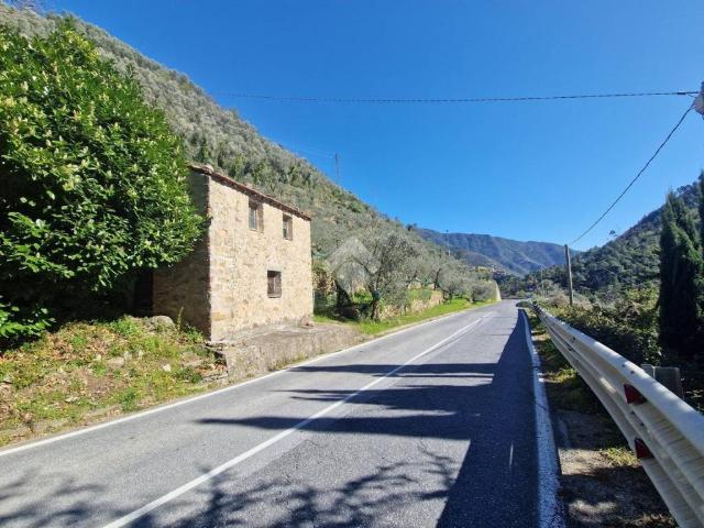 Villa in vendita a Montalto Carpasio IM