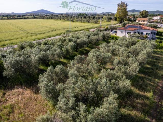 Villa in vendita a Montalto di Castro VT