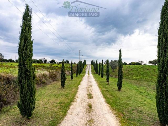 Villa in vendita a Montalto di Castro VT