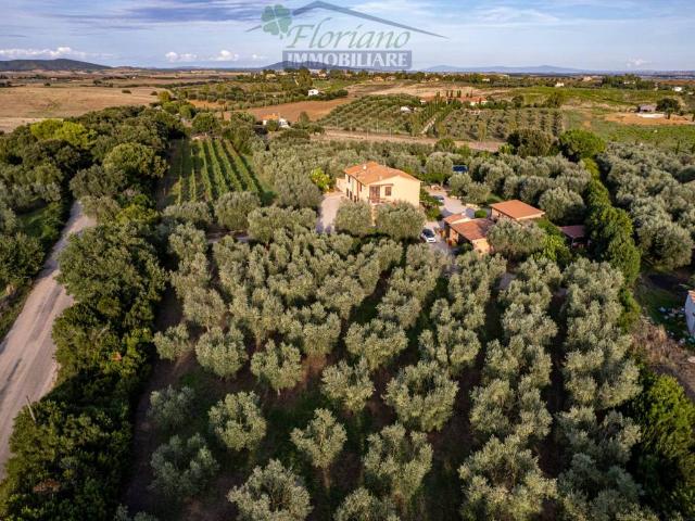 Villa in vendita a Montalto di Castro VT