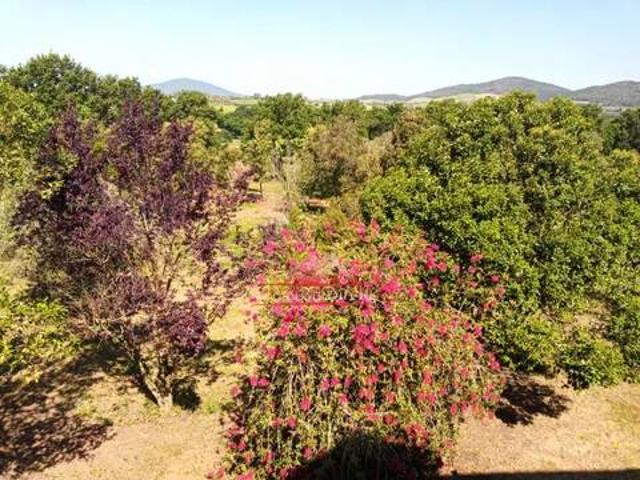 Villa in vendita a Montalto di Castro VT