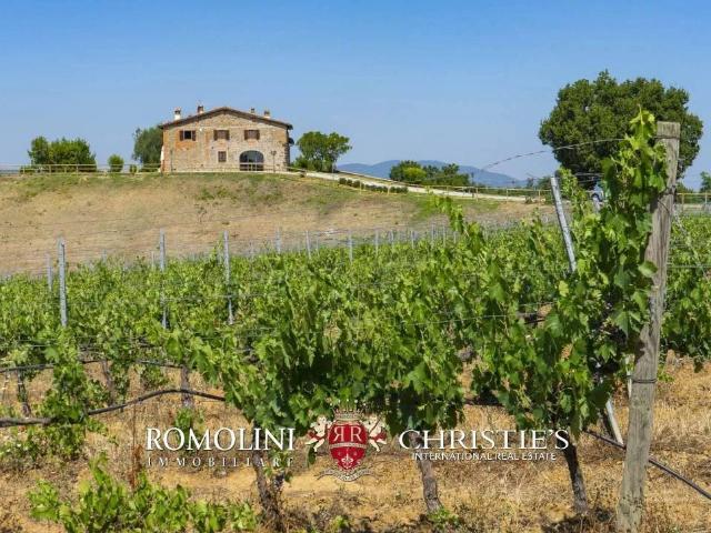 Villa in vendita a Montevarchi AR