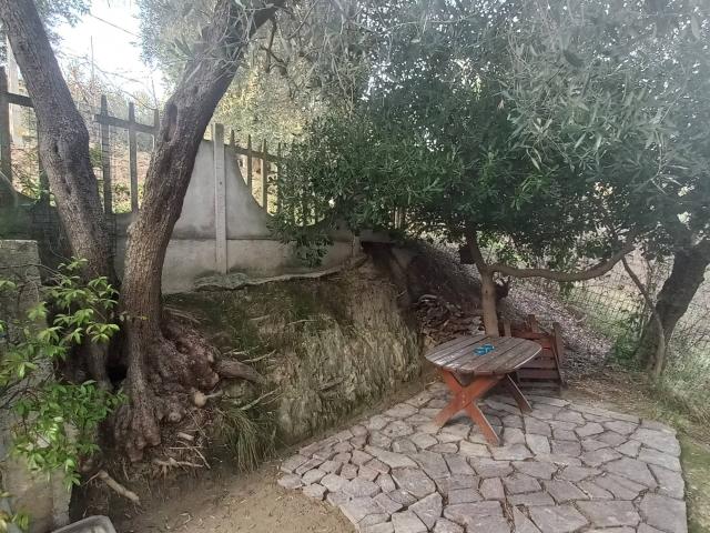 Villa in vendita a Monte Giberto