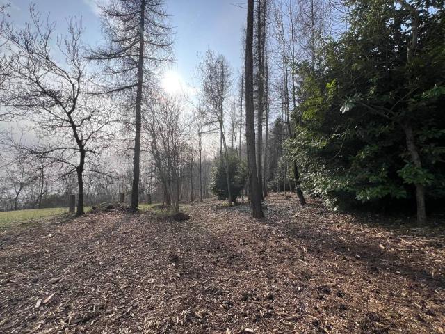 Villa in vendita a Monte di Malo VI