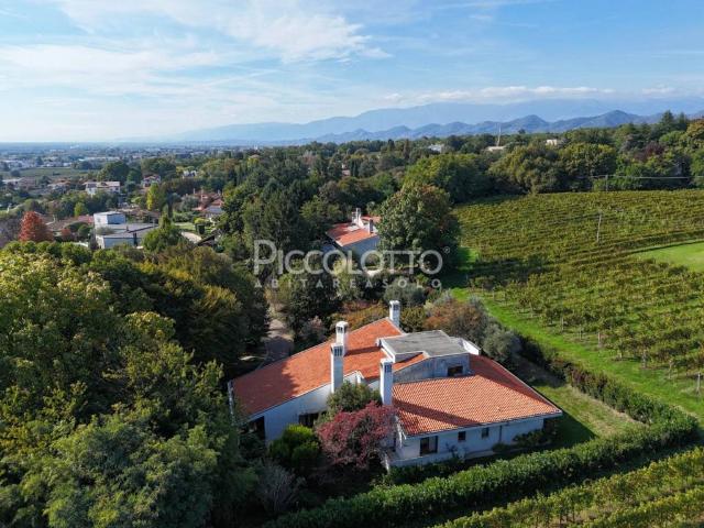 Villa in vendita a Montebelluna TV