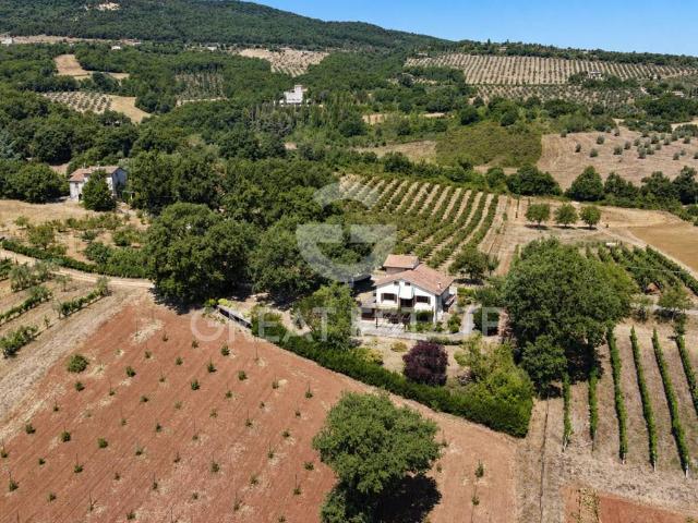 Villa in vendita a Montecchio TR