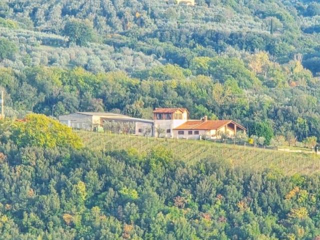 Villa in vendita a Montecchio TR