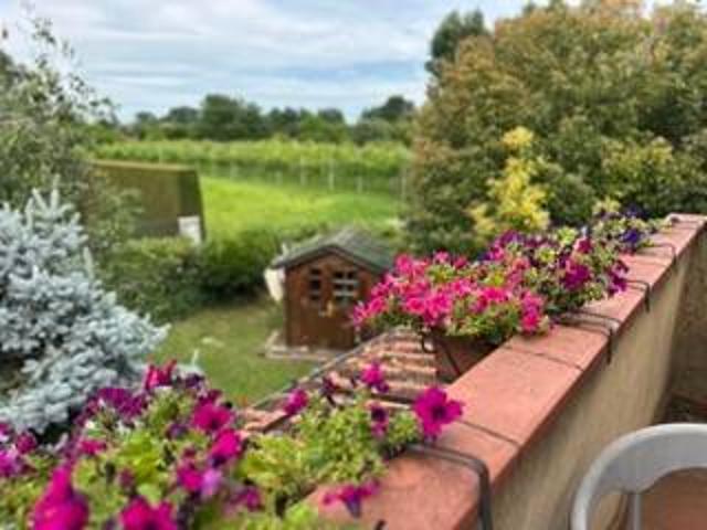Villa in vendita a Montegrotto Terme PD