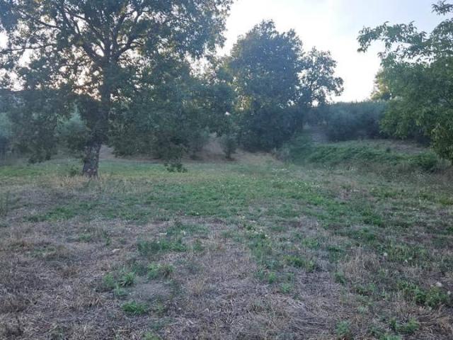 Villa in vendita a Montemiletto AV