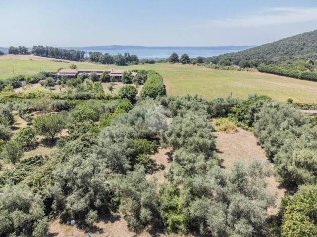 Villa in vendita a Monterosi VT