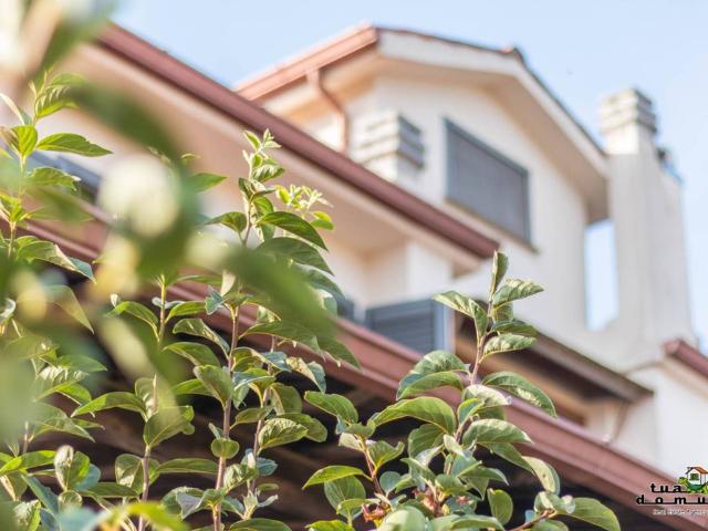 Villa in vendita a Monterosi VT