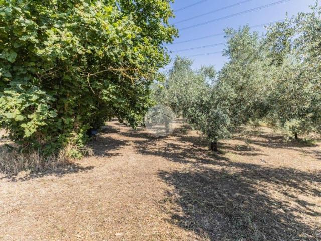 Villa in vendita a Monterosi VT