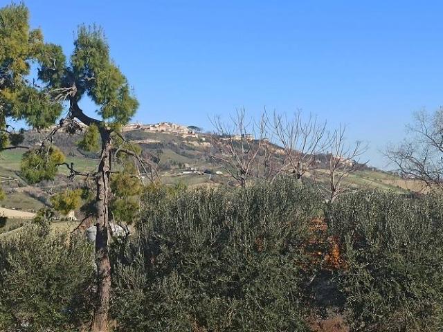 Villa in vendita a Monterubbiano FM