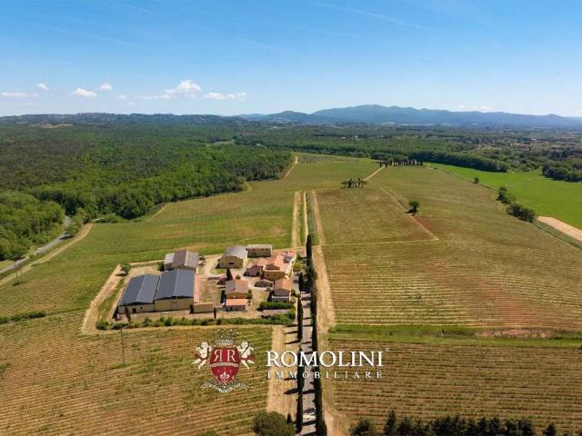 Villa in vendita a Montescudaio PI