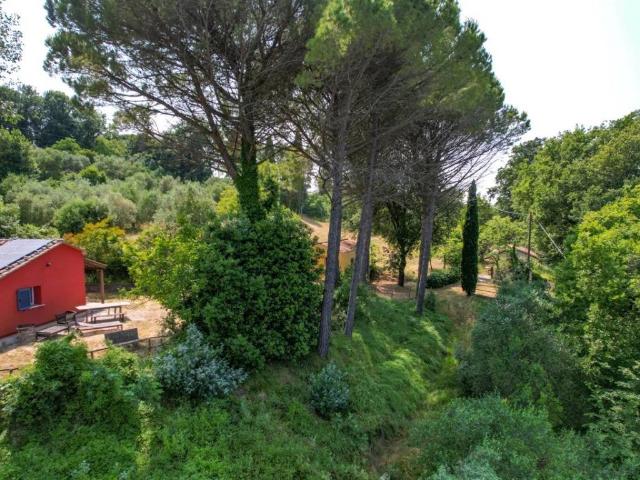 Villa in vendita a Montescudaio PI