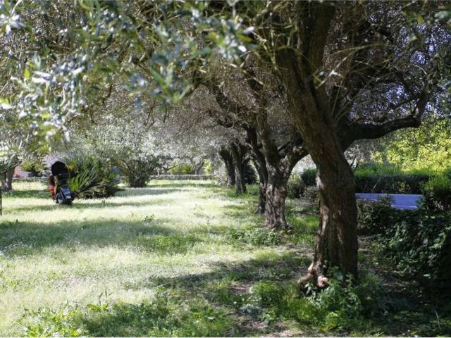 Villa in vendita a Montignoso MS
