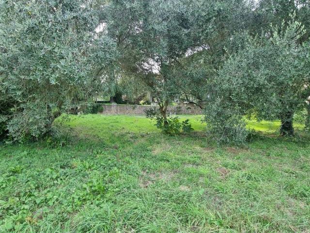 Villa in vendita a Mazzano Romano RM