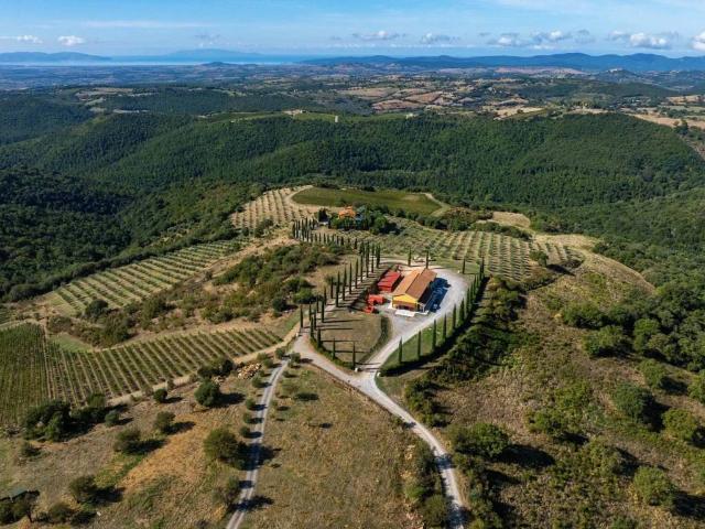 Villa in vendita a Magliano in Toscana GR