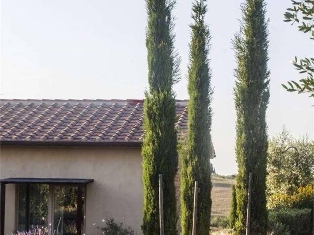Villa in vendita a Magliano in Toscana GR