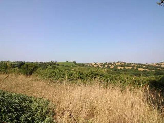 Villa in vendita a Magliano in Toscana GR