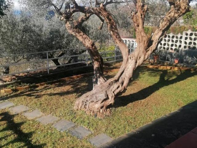 Villa in vendita a Maierà CS
