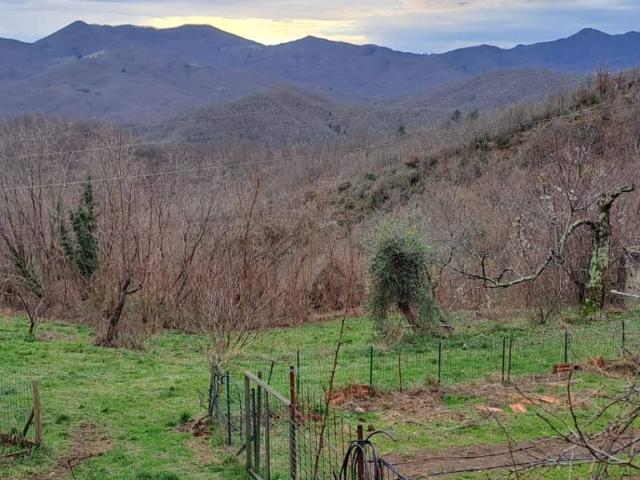 Villa in vendita a Maissana SP