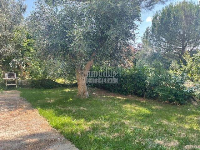 Villa in vendita a Manciano GR