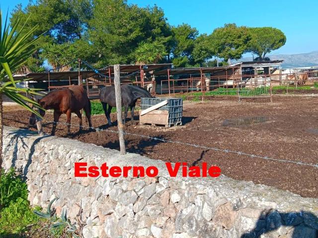 Villa in vendita a Manfredonia FG